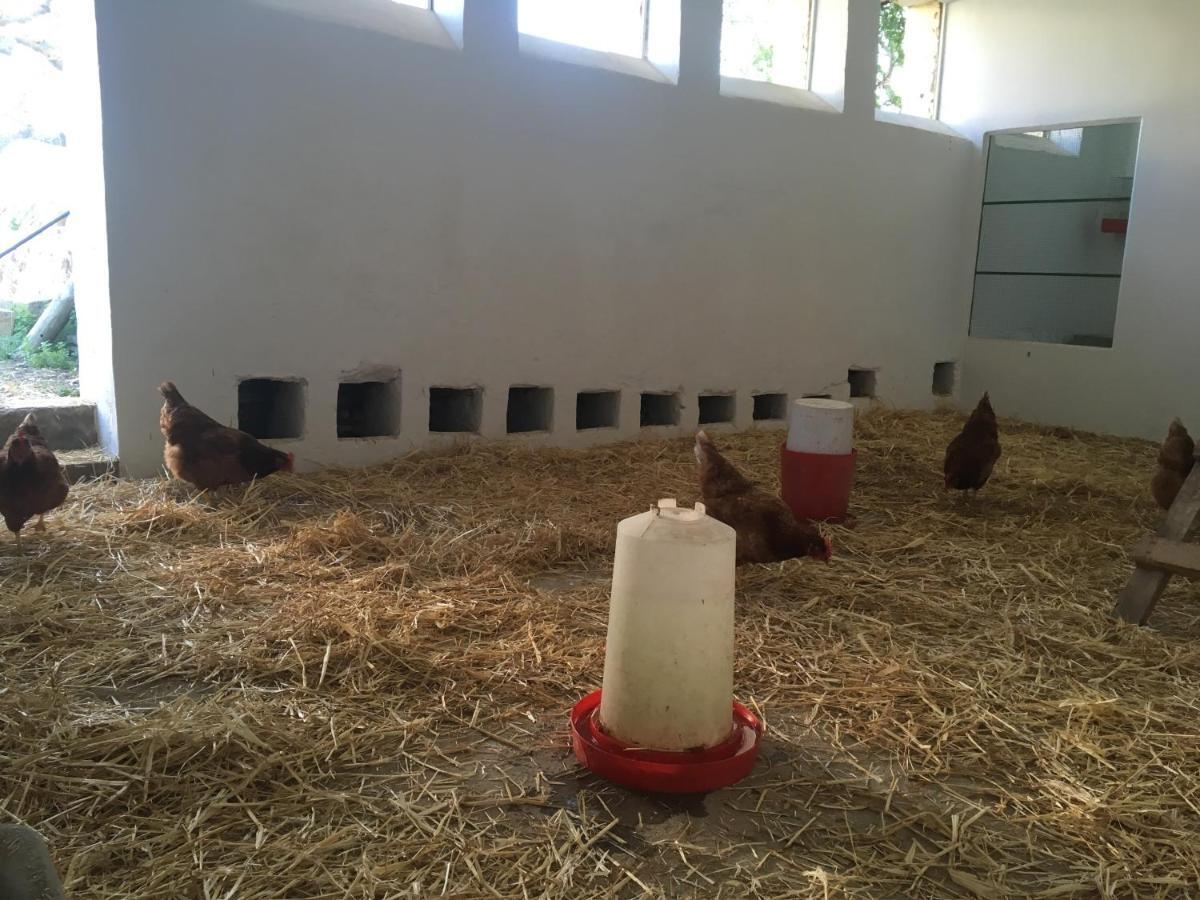 Casa Rural Monterrey Aroche Zewnętrze zdjęcie